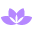 Dermae